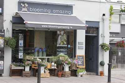 Blooming Amazing Flower Company Flower Delivery in Dublin